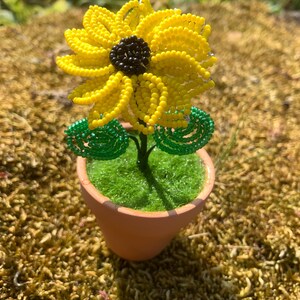 Mini Beaded Sunflower in Terracota pot