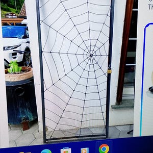 Könnte beinhalten: Eine Tür mit schwarzem Metallrahmen und Spinnennetz-Design. Das Netz besteht aus schwarzem Faden und bedeckt die gesamte Tür. Ein kleines Vorhängeschloss sichert die Tür. Im Hintergrund eine weiße Wand und eine grüne Pflanze.