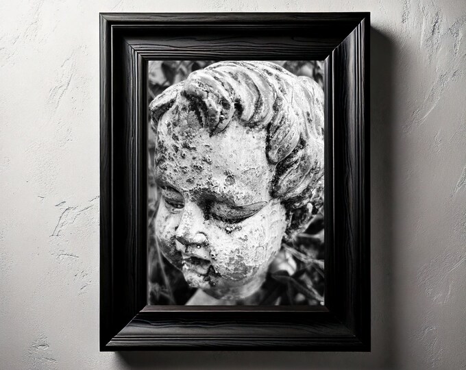 The Silent Cherub