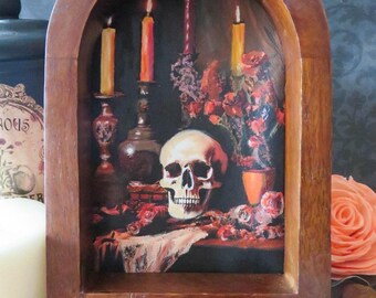 Skull Still Life