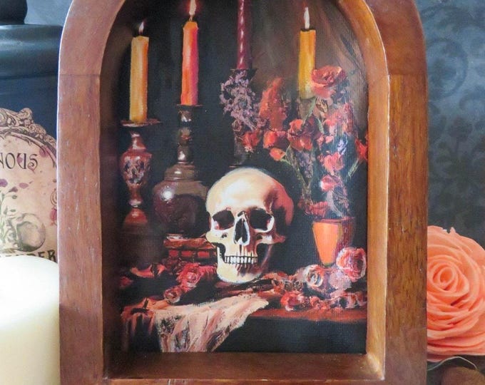 Skull Still Life