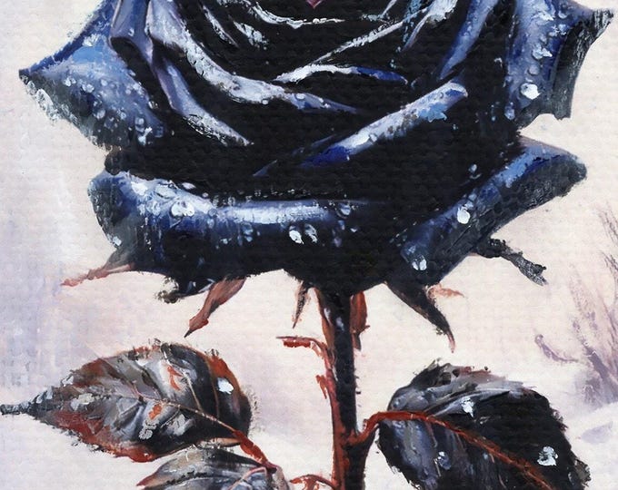Black Rose In Winter ACEO