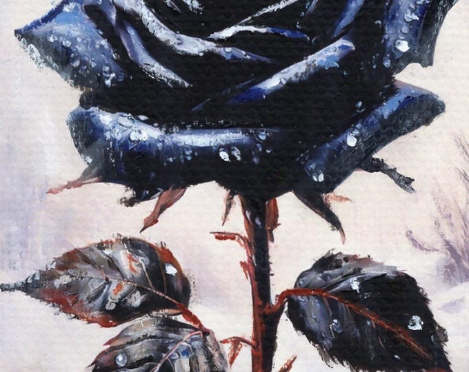 Black Rose In Winter