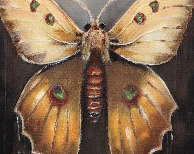 Golden Moth ACEO