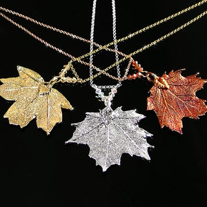 Small Sugar Maple Leaf Necklace, Silver, Gold or Copper Real Baby Maple Leaf Pendant, Botanical Nature Jewelry image 1