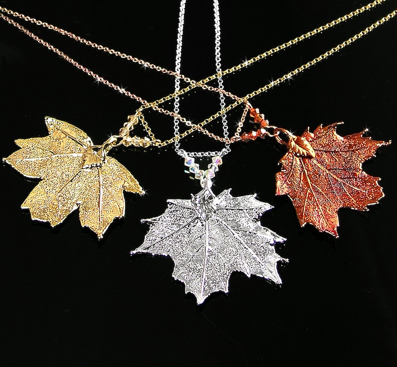 Small Sugar Maple Leaf Necklace, Silver, Gold or Copper Real Baby Maple Leaf Pendant, Botanical Nature Jewelry image 1