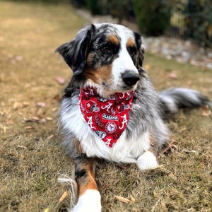 Alabama Crimson Tide Dog Bandana