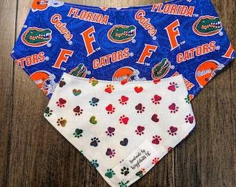 Florida Gators Dog Bandana