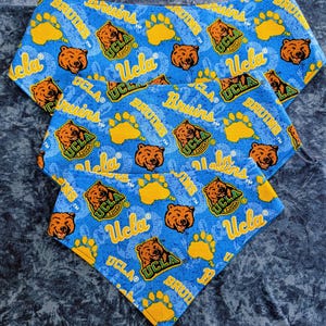 May include: Blue and gold UCLA Bruins dog bandanas. The bandanas feature a repeating pattern of Bruins logos, bear heads, and paw prints. The UCLA logo is visible on the bandanas.