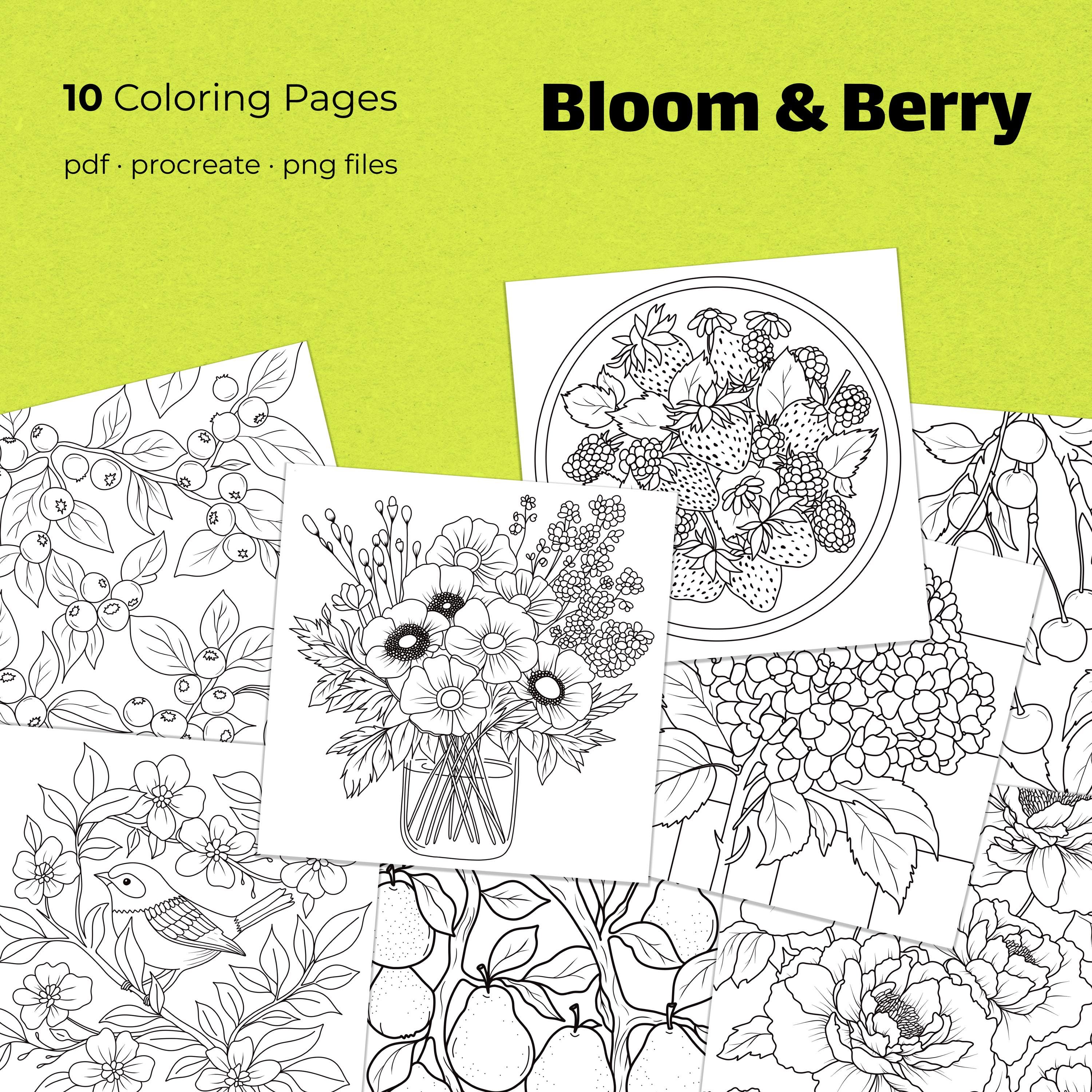 Garden Floral Coloring Pages – 10 Digital Adult Coloring Sheets, Bloom & Berry PDF, PNG and Procreate Bundle
