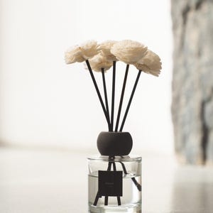May include: A clear glass reed diffuser bottle filled with liquid, featuring a black square label and a dark brown spherical cap. Five thin black reeds extend upward, each topped with a cream-colored, layered flower-shaped diffuser attachment.