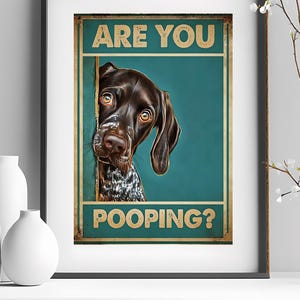 Op de afbeelding: Een ingelijste poster met een Duitse korthaar hond met bruine vacht en een gevlekte borst. De poster heeft de tekst "ARE YOU POOPING?" in een vintage lettertype, tegen een teal achtergrond.