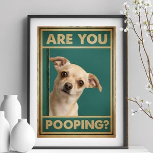 Lámina divertida de chihuahua para el baño: "¿Estás haciendo popó?" Arte para amantes de los perros