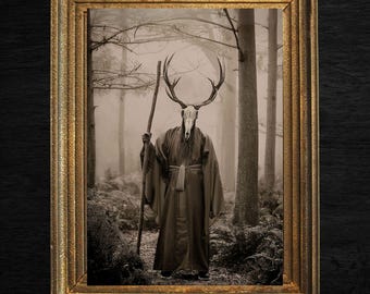 Druid of the Forest, Vintage photography, Art Poster Print, Dark Academia, Vintage Art, Gothic Occult Poster, Witchcraft, Gothic Home Decor