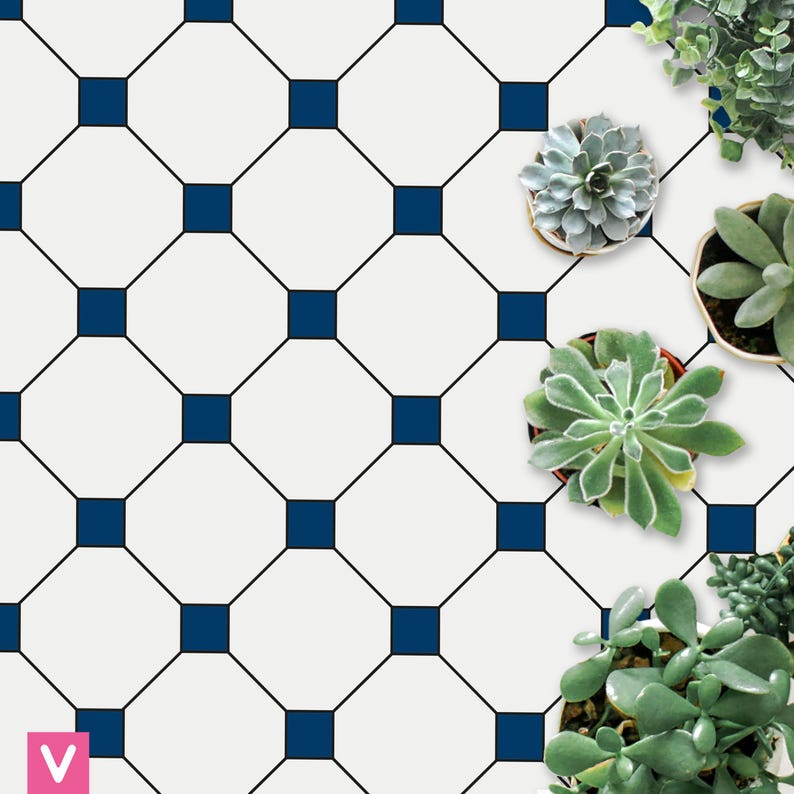 Op de afbeelding: Een wit en marineblauw geometrisch patroon oppervlak met vierkante tegels en vetplanten in pot. Het patroon heeft een raster van witte vierkanten met marineblauwe vierkanten op de kruispunten en zwarte lijnen. Verschillende vetplanten in pot zijn op het oppervlak geplaatst.