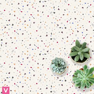 Peut inclure: Fond blanc avec un motif terrazzo de fragments rouges, bleus, oranges et gris. Trois succulentes en pot sont disposées dans le coin inférieur droit. Les succulentes sont vertes et de formes différentes.