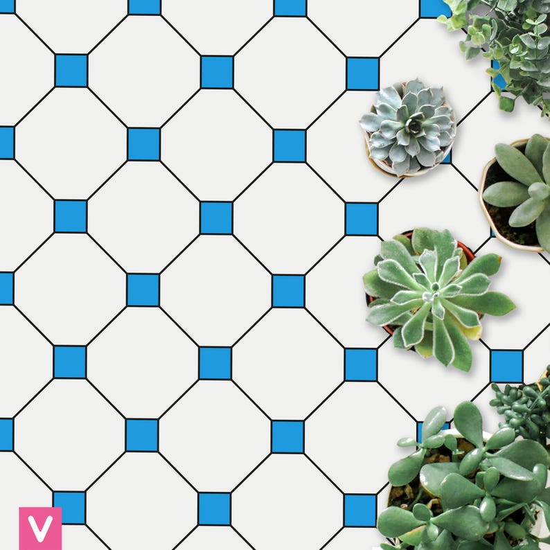 Op de afbeelding: Een witte achtergrond met een herhalend patroon van zwarte lijnen en blauwe vierkanten. Verschillende vetplanten in potten zijn in de rechterbovenhoek geplaatst. De planten hebben groene bladeren en staan in kleine bruine potten.