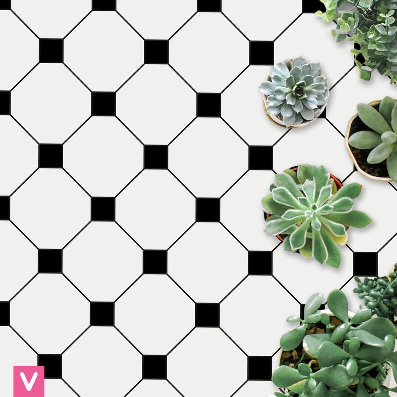 Op de afbeelding: Een zwart-wit geometrisch tegelpatroon met vierkante accenten. Verschillende pot-vetplanten in verschillende groentinten zijn op het oppervlak gerangschikt en voegen een natuurlijk element toe aan het ontwerp.