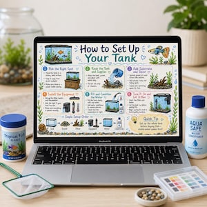 May include: A laptop screen displays an illustrated guide titled How to Set Up Your Tank, featuring six numbered steps for aquarium maintenance, surrounded by a container of tropical fish flakes, a water conditioner bottle, and a net.