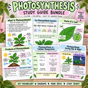 Puede incluir: Un paquete de guías de estudio sobre la fotosíntesis que incluye seis hojas educativas con diagramas, ecuaciones químicas y texto sobre biología vegetal. Las páginas coloridas contienen ilustraciones de hojas, plantas, soles y lunas.
