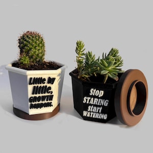 Puede incluir: Dos macetas hexagonales, una blanca y otra negra, cada una con una suculenta. La maceta blanca tiene un cactus y el texto "Little by little, GROWTH happens." La maceta negra tiene una suculenta y el texto "Stop STARING start WATERING."