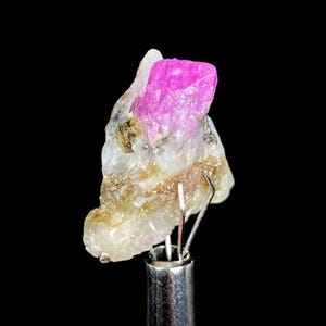 May include: A raw, uncut ruby gemstone with a vibrant pink hue, set against a backdrop of off-white and tan rock. The ruby is held by a silver metal tool, showcasing its natural, unpolished form. The background is black.
