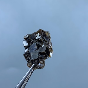 Puede incluir: Un grupo de cristales cúbicos de color marrón oscuro, posiblemente una muestra mineral, se sostiene con unas pinzas plateadas sobre un fondo azul claro. Los cristales tienen un aspecto reflectante y vítreo.