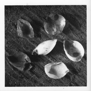 1097 - &quot;The Margins of Transformation #1&quot;