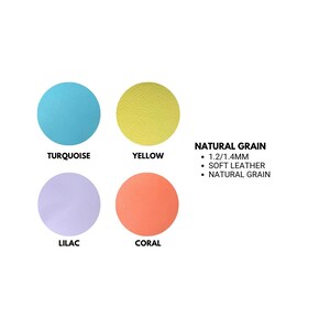 overview of the natural grain leathers available