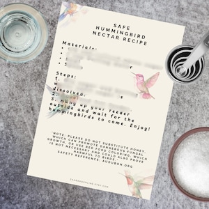 Puede incluir: Una tarjeta de receta color crema con el texto "Safe Hummingbird Nectar Recipe" e ilustraciones de colibríes. La tarjeta incluye instrucciones y una advertencia contra el uso de miel o colorante rojo para alimentos. Una cuchara medidora y un vaso de agua están en el fondo.