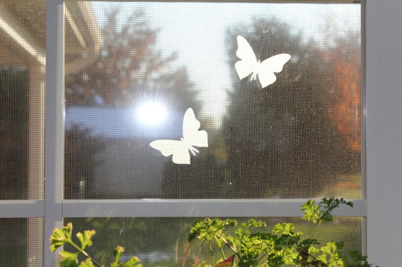 Home wall decal Window decal vinyl like Frostedetched Etsy