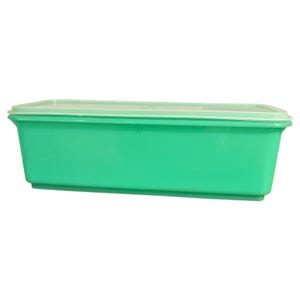 Vintage Tupperware Green Celery Keeper Veggie Crisp med fack 782-6 & 784-3 USA