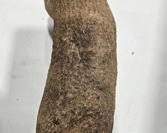 Ñame (1 tubérculo)