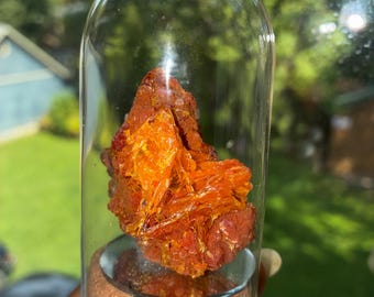 Orange Red Wulfenite Mineral Specimen | Layered Cluster (1.875 in)