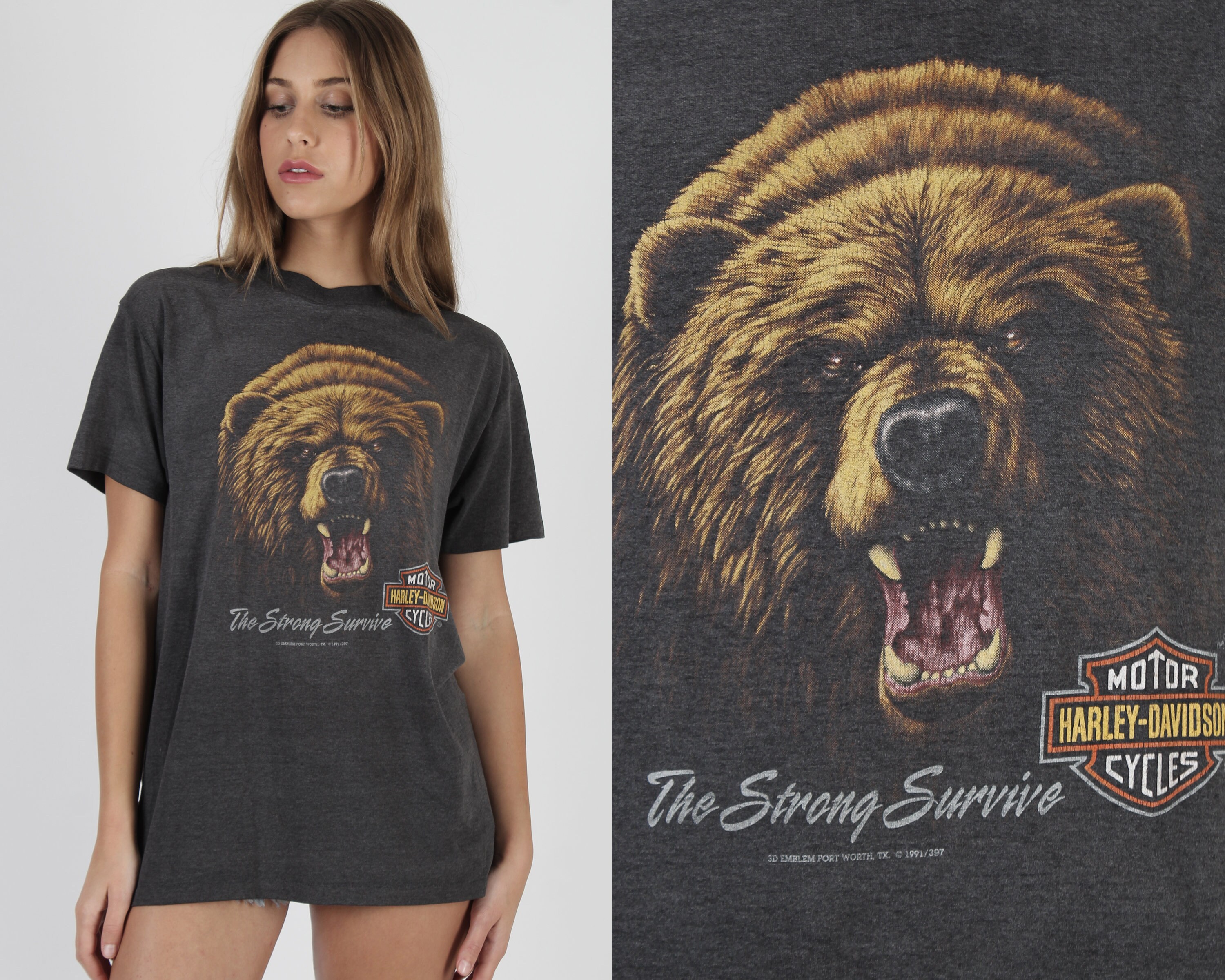 3D Emblem Grizzly Bear Tee / Black 50 50 Harley Davidson T Shirt