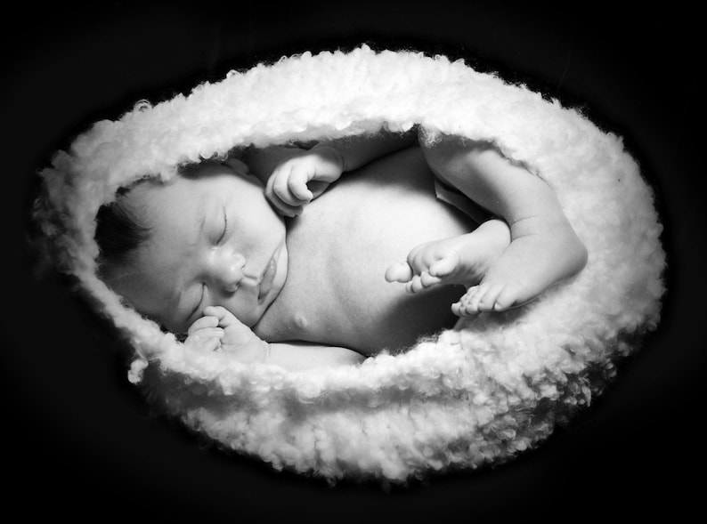 May include: A newborn baby sleeping soundly in a white fluffy nest. The baby is curled up with their arms and legs tucked in, and their face is relaxed.