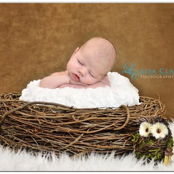 Brown Wood Branch Nest, Owl Nest, Bird Nest, Baby Nest, Newborn Photography Props, Baby Photo Prop, REAL Wood Nest, Newborn Photo Furniture
