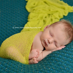 Citron Green Stretch Knit Wrap Newborn Baby Photography Prop