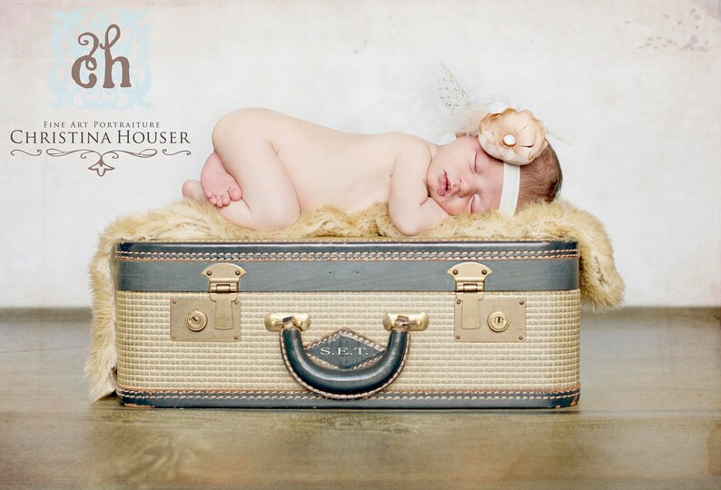 Beige Faux Fur Rug Nest Photography Photo Prop 27x20 Newborn Baby Toddler Mat image 3