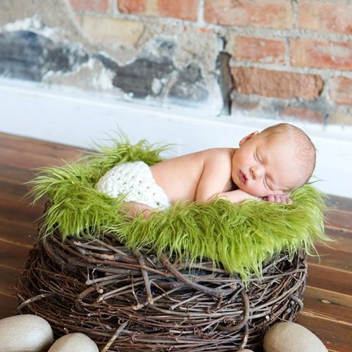 SET Newborn 2024 Nest Prop, Wood Branch Nest, Owl Nest, Bird Nest, Faux Fur Rug, Olive Green Fur, Newborn Photography Prop, Photo Props Baby