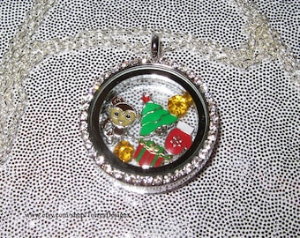 Toy Day Animal Crossing New Leaf Floating Story Locket Pendant Necklace Custom One of a Kind OOAK by TorresDesigns - Ready To Ship