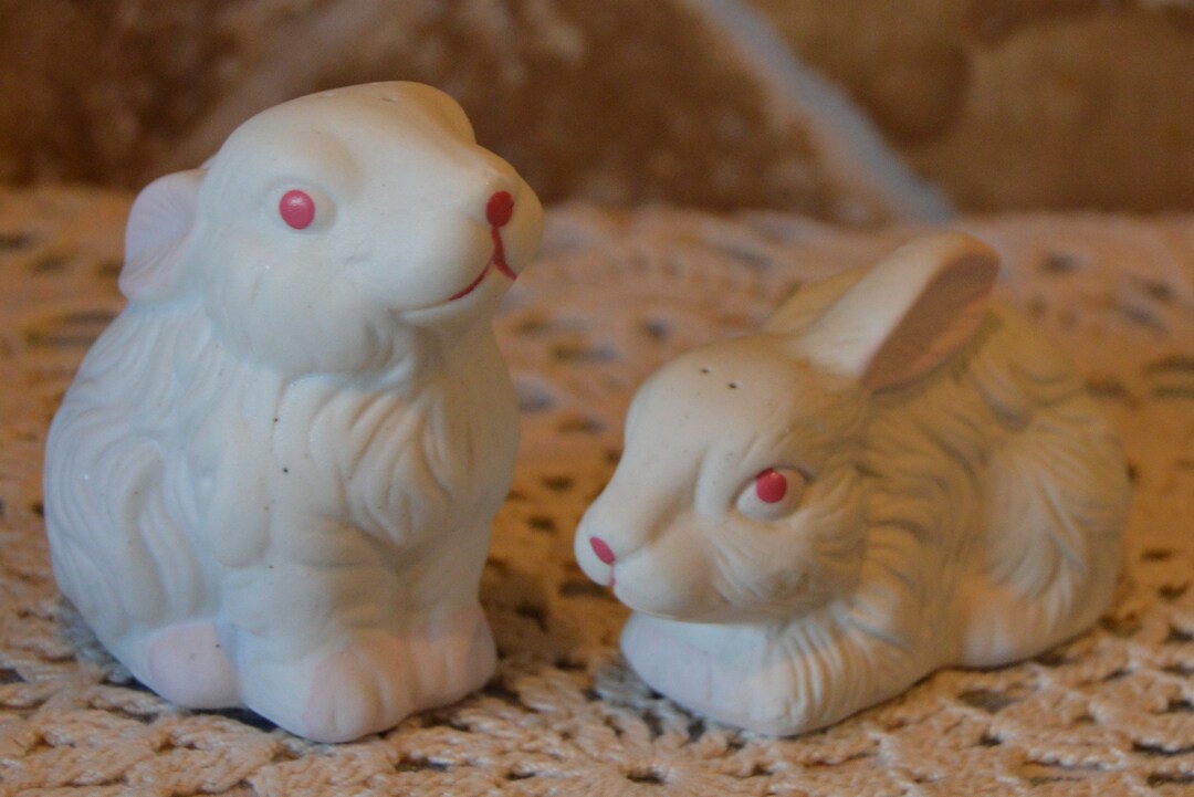 Salt Rabbit This item is unavailable - Etsy
