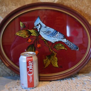 Lovely Blue Bird Painted by MAC in 1982~Wood Frame With Glass Front~15" x 11 1/2"~No Hanger On Back~Says To Karen Joyce