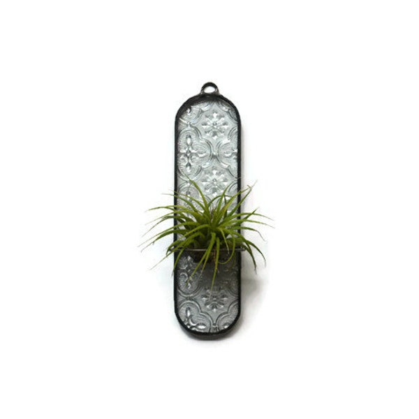 Clear Textured Glass Air Plant Holder