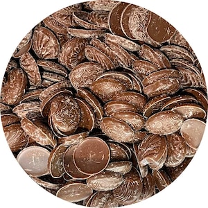 Lys Melk Milk Chocolate | Swedish Candy Pick and Mix | Creamy Scandinavian Treat | Bulk Chocolate Gift | Cocoa Butter Candy Bar Pieces