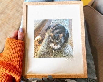 Baumwoll-Fotodruck für Haustiere