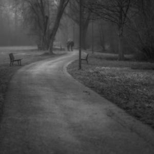 May include: Black and white photograph of a park scene on a foggy day. A winding path leads through the park, with benches and trees lining the sides. Two figures are walking in the distance, adding a sense of scale and depth to the image.