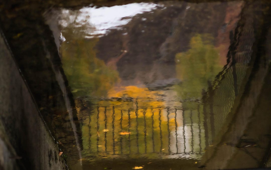Inverted Water Reflection With Painterly Texture, Abstract River ...