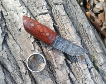 Mini Tanto Handled in Lacewood