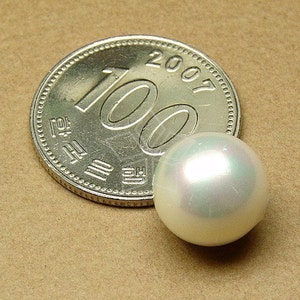 PL-008-SP / 4 Pcs Cream White Shell Pearl, Half-drilled Round Pearls for DIY Pearl Jewelry Earrings Making / 12mm image 2